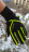 Перчатки Lynx Defroster Black