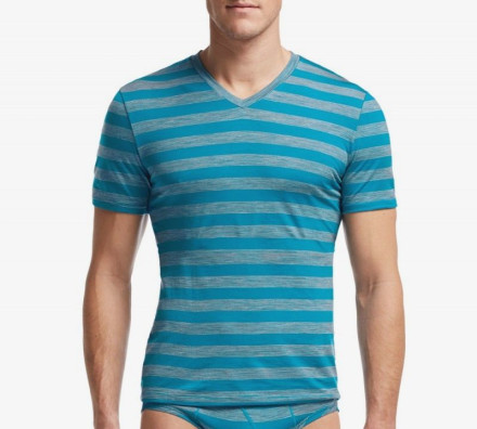 Футболка Icebreaker BF 150 Anatomica SS V MEN stripe alpine/metro