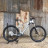 Велосипед POLYGON SYNCLINE C2 27.5X16 GRY (2021)