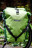 Гермосумка велосипедная Ortlieb Back-Roller Plus kiwi - moss green 20 л