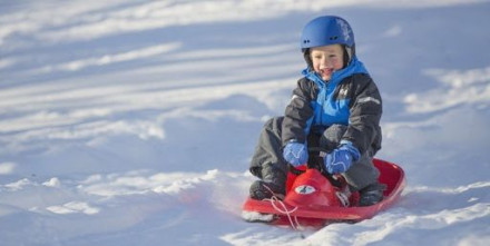 Санки управляемые HAMAX SNO FORMEL красные