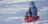 Санки управляемые HAMAX SNO FORMEL красные
