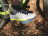 Кроссовки Five Ten FREERIDER PRO LIGHT GRANITE