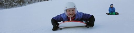 Снегосерфер HAMAX FREE SURFER