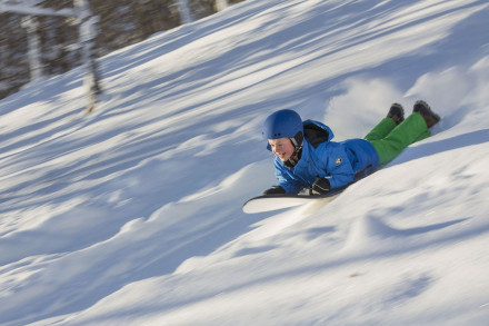 Снегосерфер HAMAX MINI SURFER